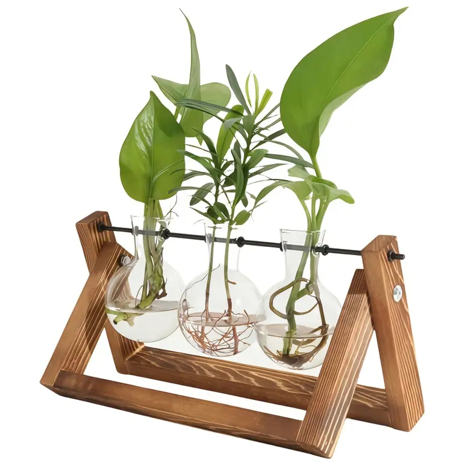 Vaza hidroponica cu 3 vase din sticla, Zola®, suport din lemn, pliabil, dimensiuni suport 28x13.5 cm Vaza hidroponica cu 3 vase din sticla, Zola®, suport din lemn, pliabil, dimensiuni suport 28x13.5 cm